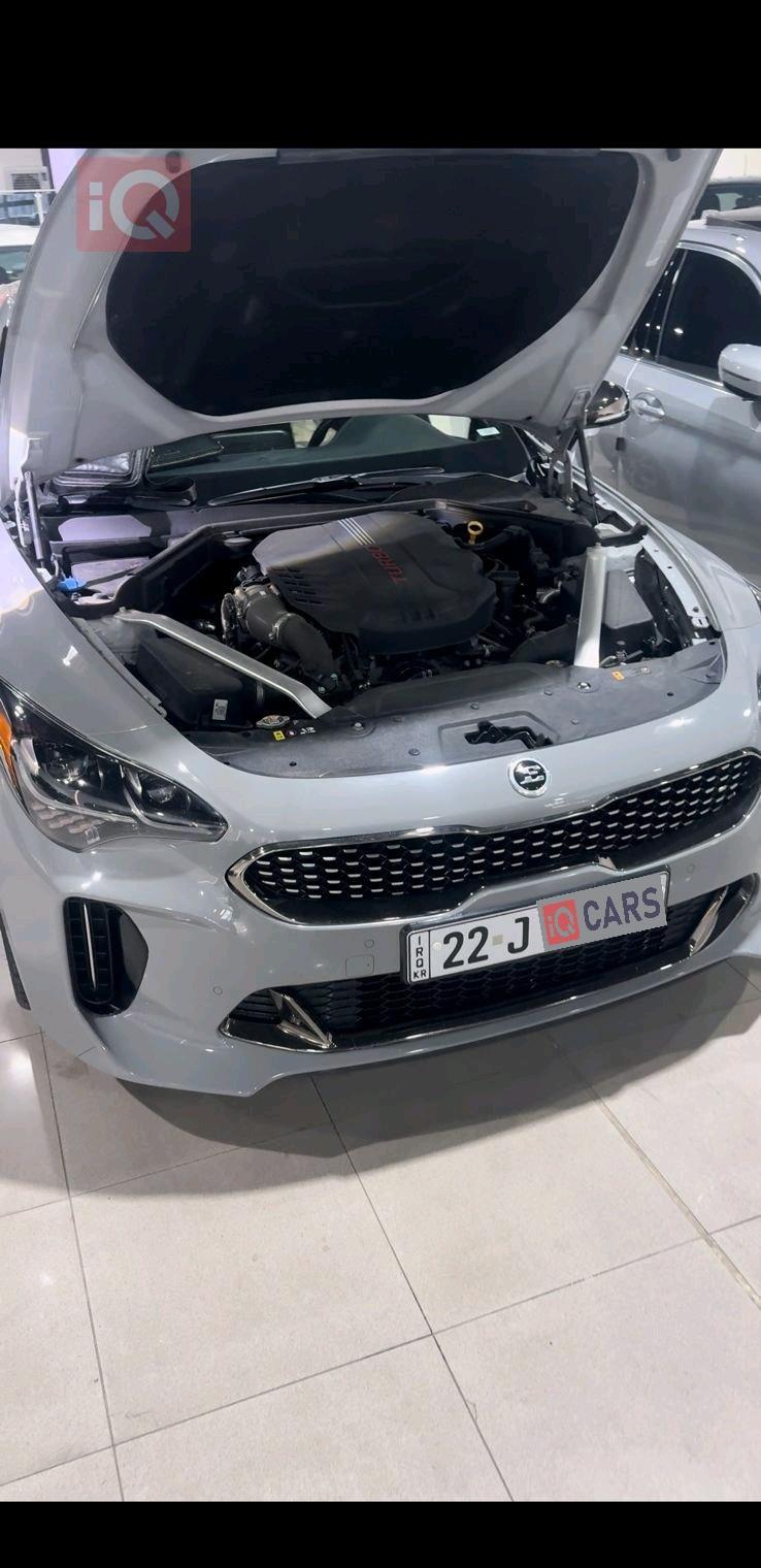 کیا ستینگەر